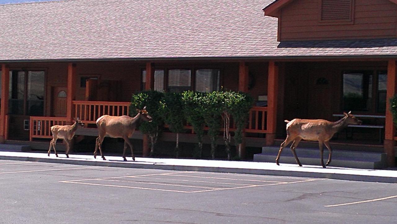 Yellowstone Village Inn And Suites Gardiner Exteriér fotografie